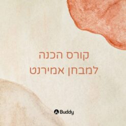 מבחן אמירנט